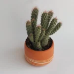 hand made osłonka ceramiczna jira ceramics hand made pottery planter australia interiors