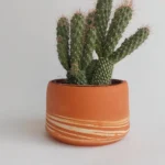 hand made osłonka ceramiczna jira ceramics hand made pottery planter australia interiors